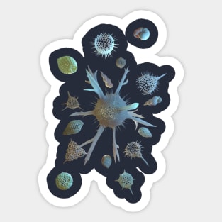 Radiolaria and Foraminifera Sticker